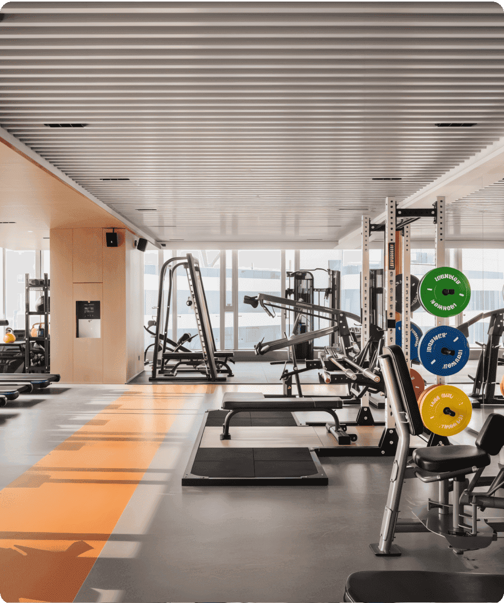 Modern gym with various exercise equipment including weight machines, benches, and weight plates.